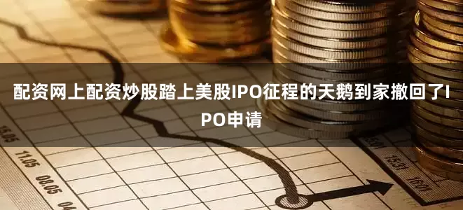 配资网上配资炒股踏上美股IPO征程的天鹅到家撤回了IPO申请