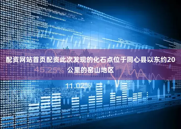 配资网站首页配资此次发现的化石点位于同心县以东约20公里的窑山地区
