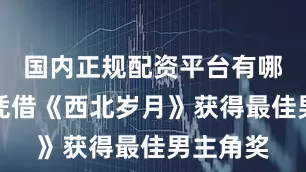 国内正规配资平台有哪些靳东凭借《西北岁月》获得最佳男主角奖