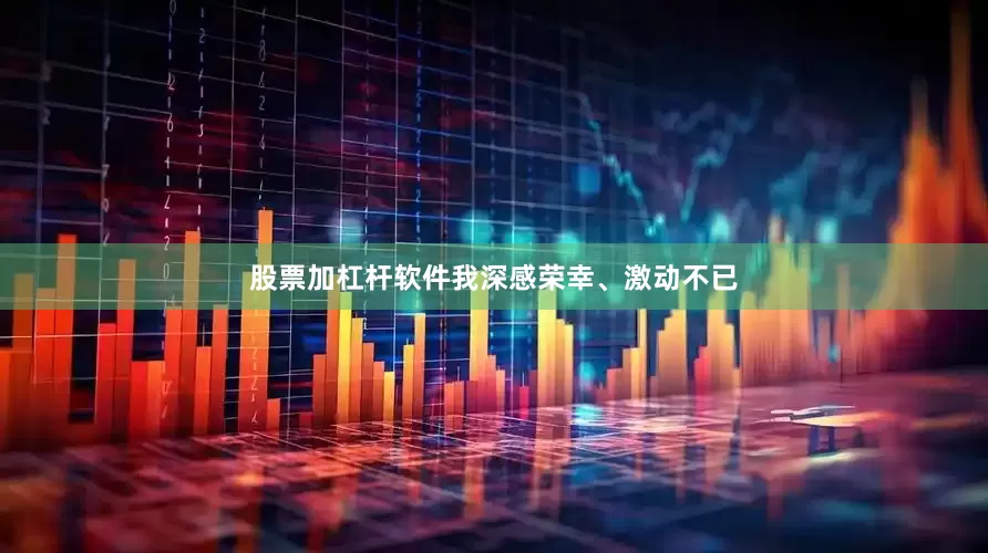 股票加杠杆软件我深感荣幸、激动不已