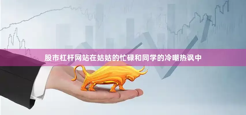股市杠杆网站在姑姑的忙碌和同学的冷嘲热讽中