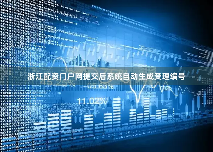 浙江配资门户网提交后系统自动生成受理编号